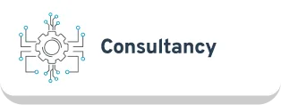 IT Consultancy